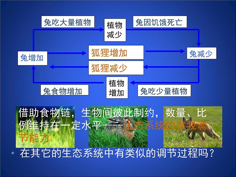 北师大版八下生物 23.4生态系统的稳定性 课件第8页