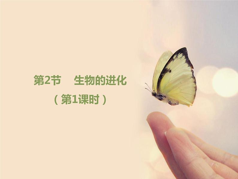 北师大版八下生物 21.2生物的进化 课件第1页