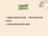 北师大版八下生物 21.2生物的进化 课件