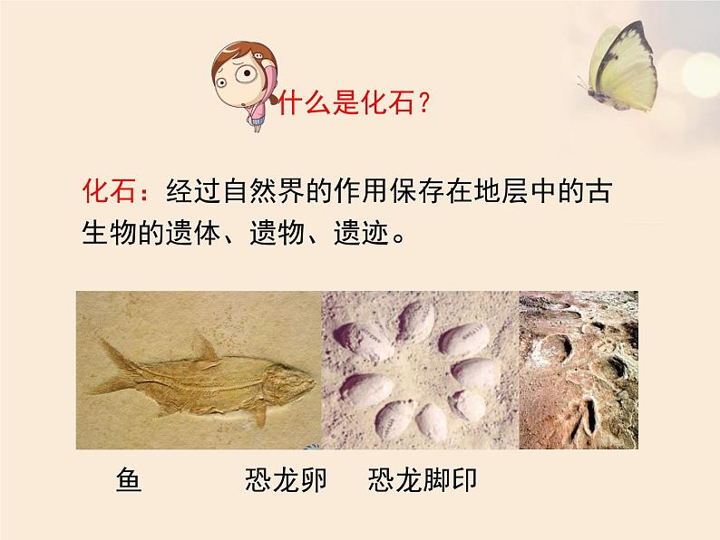 北师大版八下生物 21.2生物的进化 课件第5页