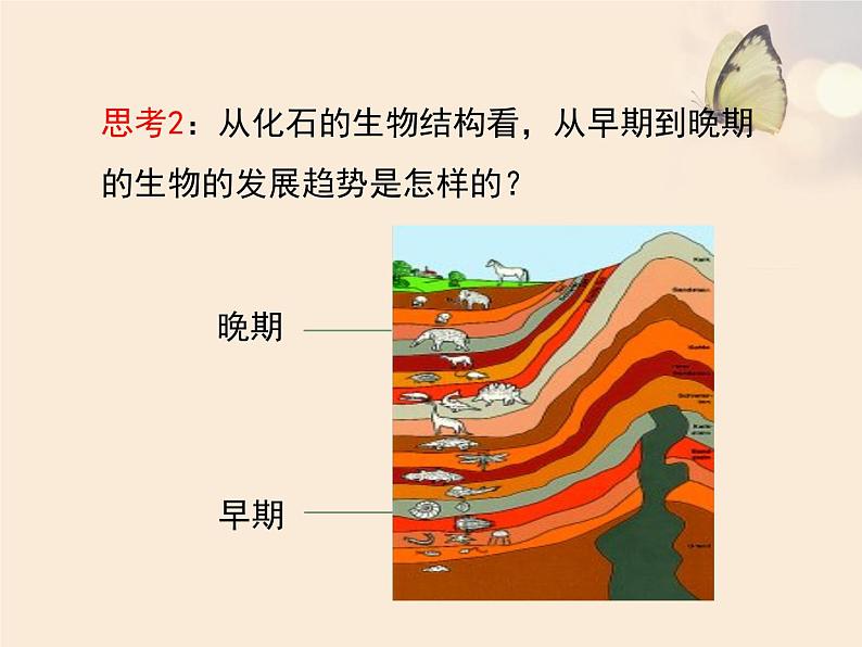 北师大版八下生物 21.2生物的进化 课件第7页