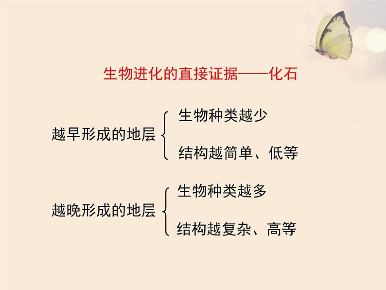 北师大版八下生物 21.2生物的进化 课件第8页