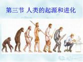 北师大版八下生物 21.3人类的起源与进化 课件
