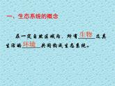 北师大版八下生物 23.2生态系统概述 课件