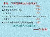 北师大版八下生物 23.2生态系统概述 课件