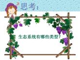北师大版八下生物 23.2生态系统概述 课件