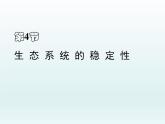 北师大版八下生物 23.4生态系统的稳定性 课件