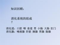 初中生物济南版七年级下册第一节 人体与外界的气体交换课文ppt课件