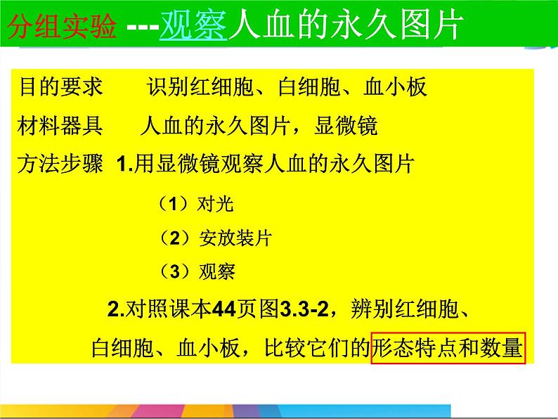 济南版七下生物 3.1物质运输的载体 课件05