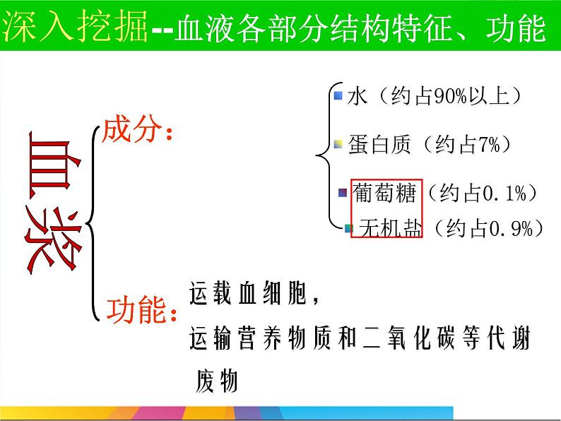 济南版七下生物 3.1物质运输的载体 课件07