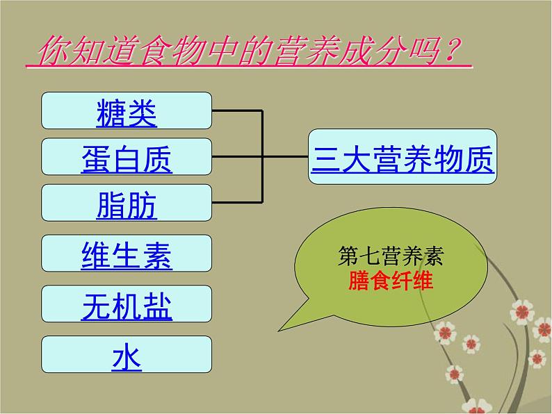 济南版七下生物 1.1食物的营养成分 课件06