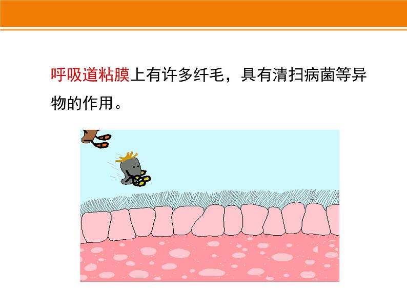 济南版七下生物 6.1人体的免疫功能 课件07