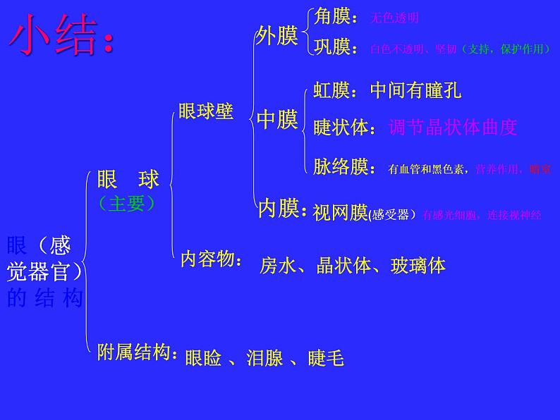 济南版七下生物 5.4人体对周围世界的感知 课件第5页