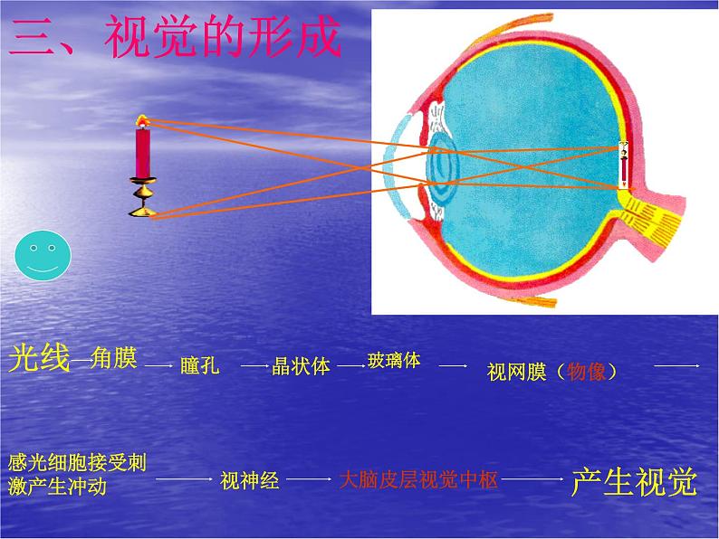 济南版七下生物 5.4人体对周围世界的感知 课件第8页