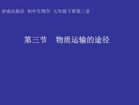 初中生物济南版七年级下册第三节 物质运输的途径课文配套课件ppt