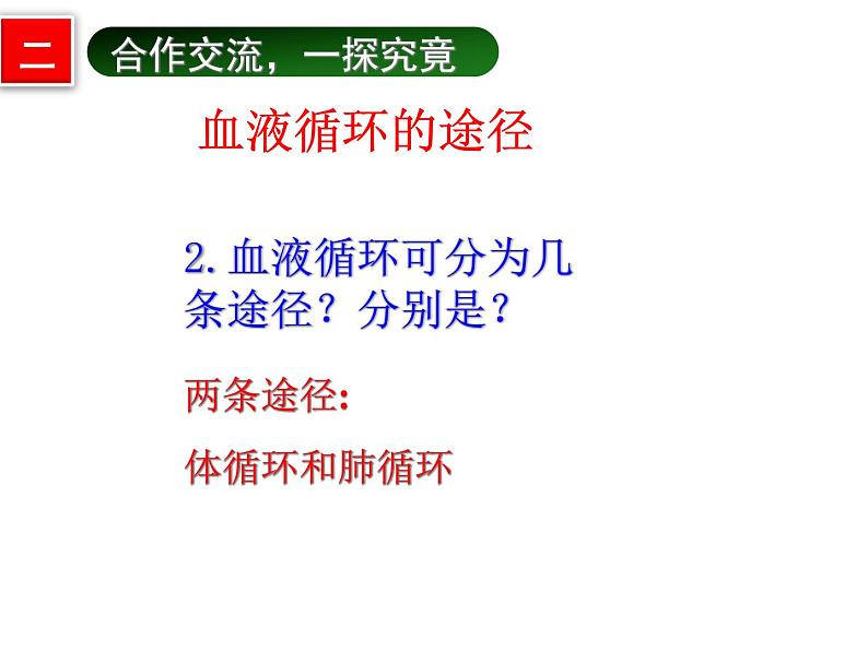 济南版七下生物 3.3物质运输的途径 课件05