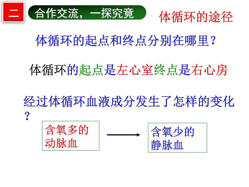 济南版七下生物 3.3物质运输的途径 课件08