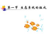 济南版八下生物 6.2.1生态系统的组成  课件