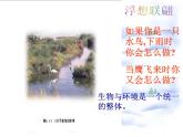 济南版八下生物 6.2.1生态系统的组成  课件