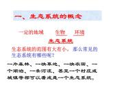 济南版八下生物 6.2.1生态系统的组成  课件