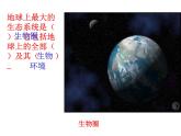 济南版八下生物 6.2.1生态系统的组成  课件