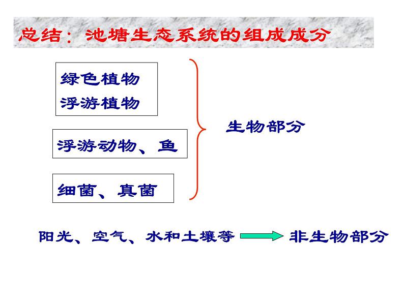 济南版八下生物 6.2.1生态系统的组成  课件第7页