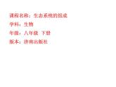 济南版八下生物 6.2.1生态系统的组成 课件