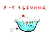 济南版八下生物 6.2.1生态系统的组成 课件