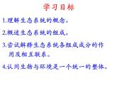 济南版八下生物 6.2.1生态系统的组成 课件