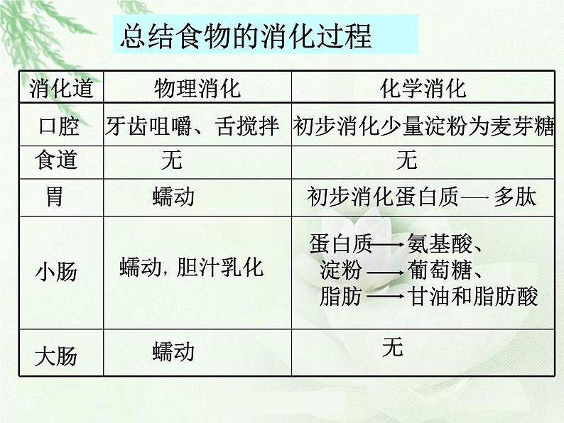 冀教版七下生物 1.3营养物质的吸收和利用 课件01