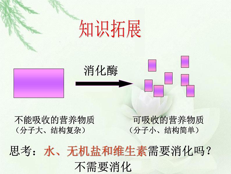 冀教版七下生物 1.3营养物质的吸收和利用 课件03