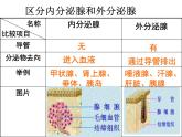 人教版七下生物  6.4激素调节  课件