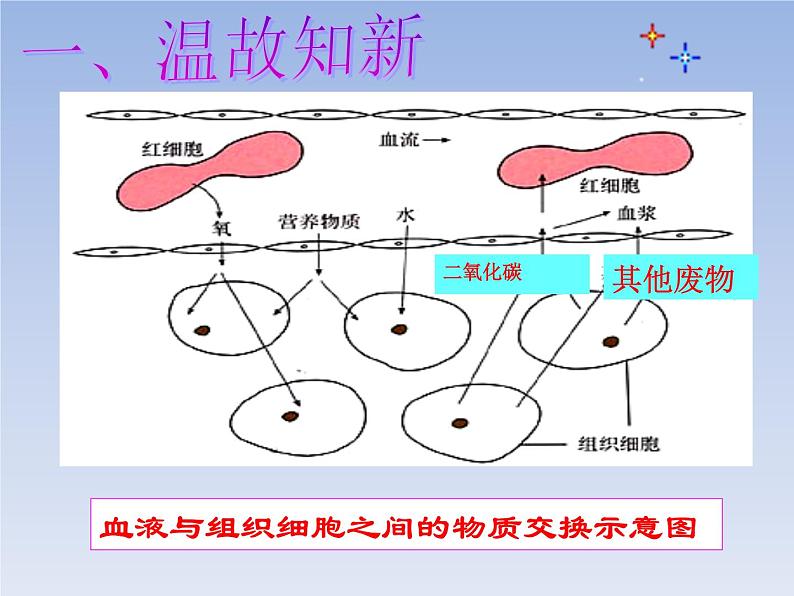 人教版七下生物  5人体内废物的排出  课件第1页