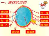 人教版七下生物  6.1人体对外界环境的感知  课件