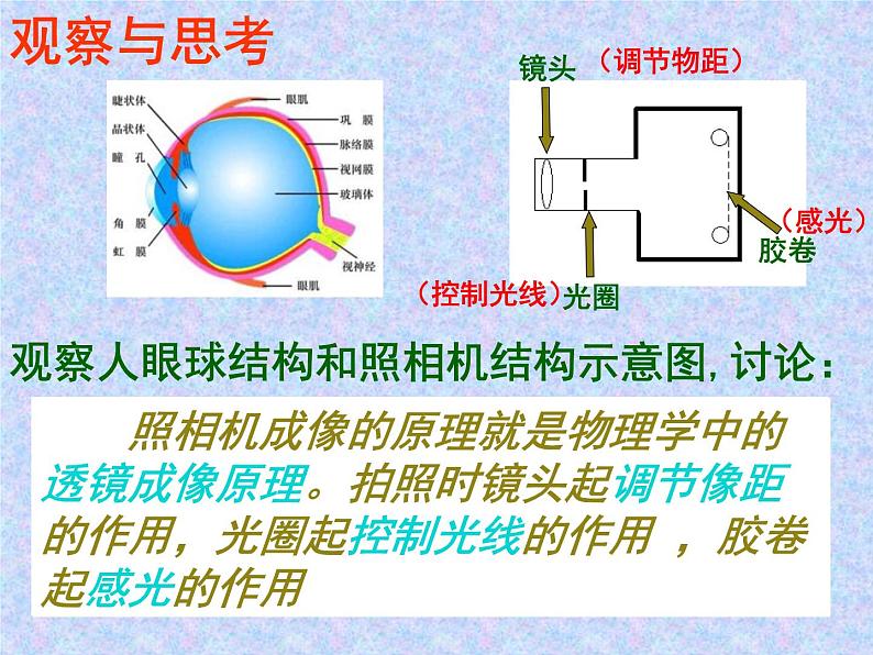 人教版七下生物  6.1人体对外界环境的感知  课件第6页