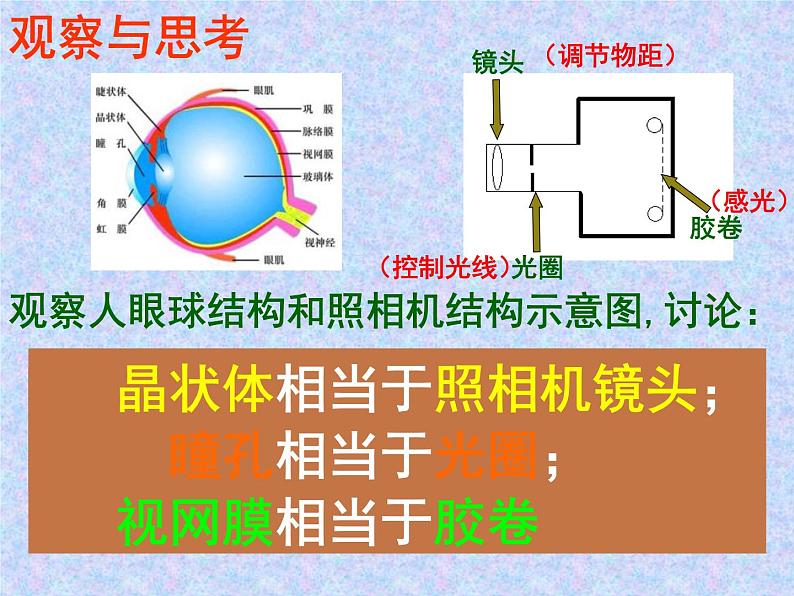 人教版七下生物  6.1人体对外界环境的感知  课件第7页