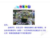 人教版八下生物 7.1.1植物的生殖 课件