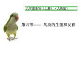 人教版八下生物 7.1.4鸟的生殖和发育 课件