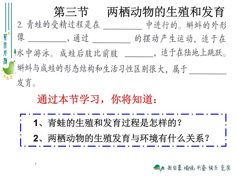 人教版八下生物 7.1.3两栖动物的生殖和发育 课件01