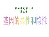 人教版八下生物 7.2.3基因的显性和隐性 课件