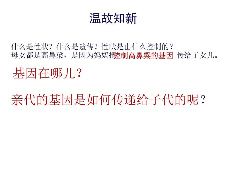 人教版八下生物 7.2.2基因在亲子代间的传递 课件第3页