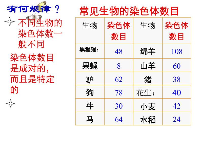 人教版八下生物 7.2.2基因在亲子代间的传递 课件第8页