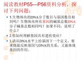 人教版八下生物 7.2.1基因控制生物的性状 课件