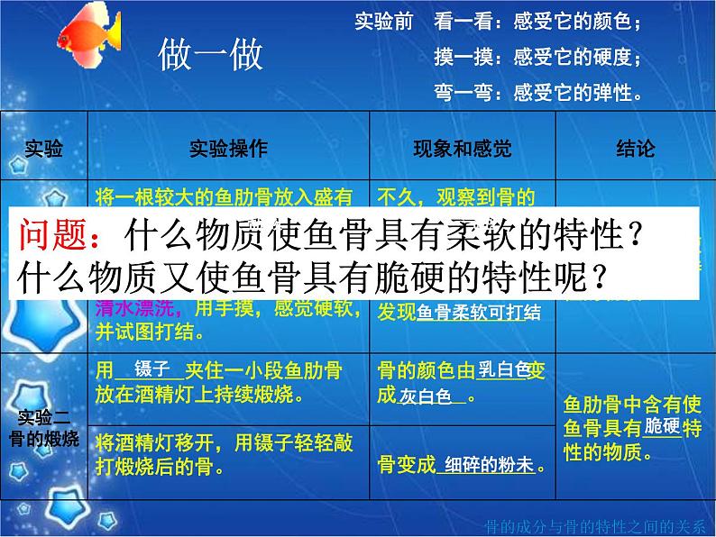 苏教版七下生物 8.3人体概述 课件06