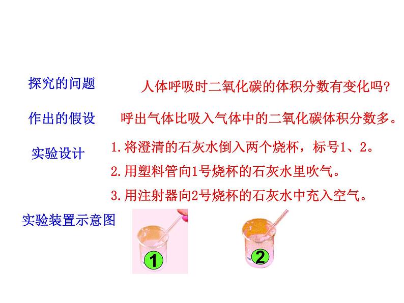 苏教版七下生物 10.4人体内的气体交换 课件05