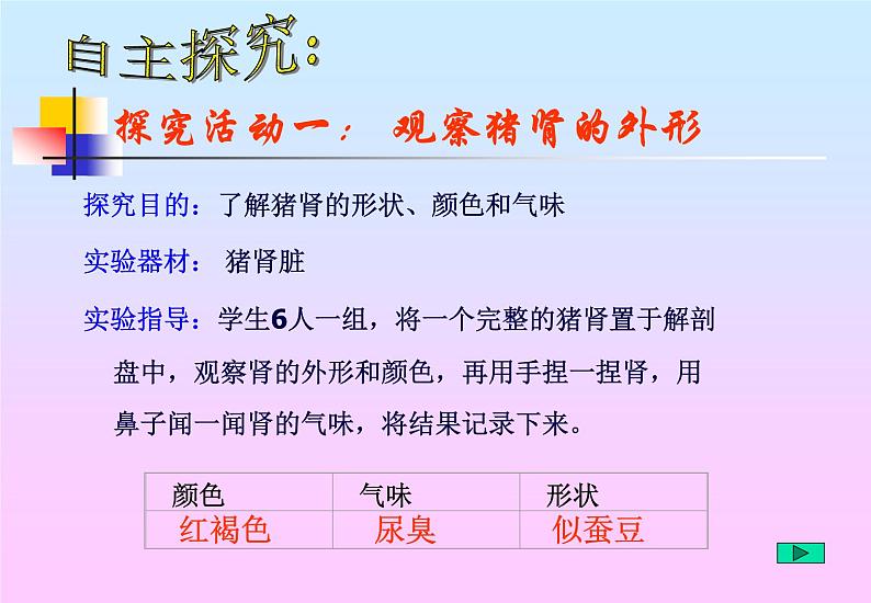 苏教版七下生物 11.1人体泌尿系统的组成 课件第4页