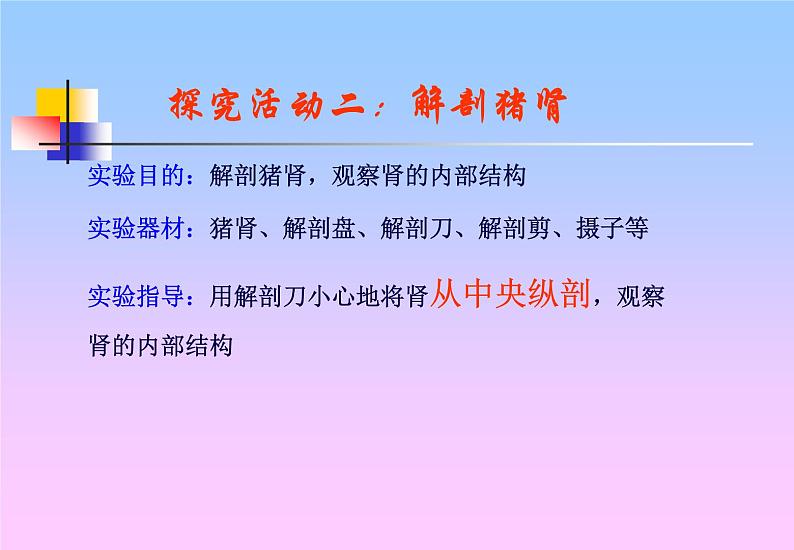 苏教版七下生物 11.1人体泌尿系统的组成 课件第5页