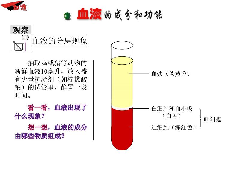 苏教版七下生物 10.1血液和血型 课件07