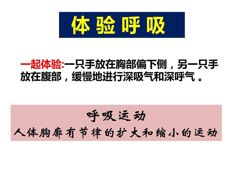 苏教版七下生物 10.3人体和外界环境的气体交换 课件03