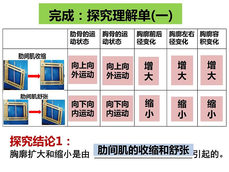 苏教版七下生物 10.3人体和外界环境的气体交换 课件06